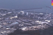 【韓国の反応】原発汚染水でヒラメを育てると言う日本…「無知な発想」