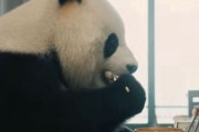 中国人「日本と中国ではほぼ同じだけど、韓国だけが違う食器」　中国人「衛生的ではある」「各国の食文化の違い」