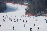 北海道でスキーをしていた韓国人女性、木に衝突して死亡＝韓国の反応