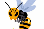「ハチに刺されたら一番痛い部位はどこか？」学生が自分の体で実験…25か所を3回ずつ