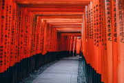 外国人「宗教のコスプレをしているみたいで…」神社・お寺の参拝マナーに外国人が本気で悩んだ結果(海外の反応）