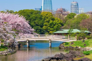 中国人「日本は花に対する芸術の心は無いのかな？東京の浜離宮へ行ったら菜の花しかなかった」　中国の反応