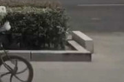 【画像】せんべいいかがっすか～？