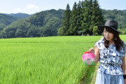 タクシー会社によるお墓参り代行サービス　海外の反応