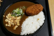 韓国人「日本式カレーはしょっぱくて不味い」日本式カレーVS韓国式カレー美味しいのはどっち？　韓国の反応