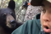 緊張の瞬間！ハンターが待機する木に一頭のクマが駆け登る！