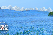 日本で最も珍しい光景が見られる国営公園！その歴史的背景とは…？