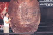 外国人「先史時代がヤバいとすぐ分かる画像を集めてみたｗｗｗｗ」