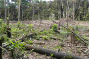 【海外】「スウェーデン並みの広さ！コロンビアがアマゾン地域で新たな石油・鉱山プロジェクトを全面禁止」