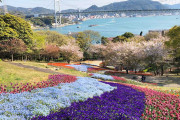 【海外】「天国ってこんな感じなんだろうね」日本のとある公園が天国のような美しさだと海外で話題に！