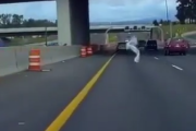 これはマジで死を覚悟する。車の運転を妨害するその犯人は・・・。海外の反応