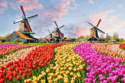 オランダ「2020年からはオランダではなくネーデルラントと呼んでください^^」