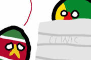 【スリナム】クリニック【ポーランドボール】