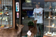 海外掲示板「日本で、イルカが店の主人を襲ってる件」　←どこがイルカだよｗｗｗ
