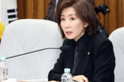 韓国人「ナ・ギョンウォン議員、ハン・ドンフン元非常対策委員長の復党は時期尚早と発言」→「お前が黙ってろ！」