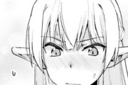【紳士】このぺったん娘エルフに欠点や不満があるなら挙げてみろ【海外の反応】