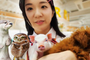 外国人「日本の動物カフェ、お前らいくつ知ってる？」