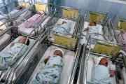 海外「なんでも気候変動のせいかww」 気候変動で男の子の産まれる率に影響が？外国人は半信半疑 海外の反応
