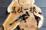 【韓国の反応】「うちの家門、恥ずかしいことしたことない」…韓国で「涙参り」日本の陶磁器の名匠、なぜ。韓国の反応「技術者の軽視は今も大きく変わっていない。/朝鮮系の名匠は日本で一人や二人ではない。」