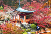 海外「京都の秋」→「これが本物の写真だとは信じ難い」「息を呑むほどの美しさ」「絵かと思った」