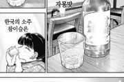 【既視感】チャミスル売れてる→「日本人は韓国に夢中ニダ！」