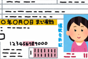 韓国で7/28からデジタル運転免許証の運用が始まると、「携帯なくした瞬間、終わるってことだね」と人々が言う