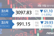 【悲報】韓国人「韓国は滅びるのですか？」、ウオン安、コスピ3100ポイント台崩壊、コスダック1000ポイント割れ‥　韓国の反応