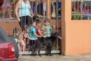 【海外】幼稚園に毎日通う犬が愛の大切さを教えてくれるって！