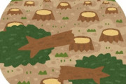 アメリカの農地拡大のために防風林を伐採したら…砂埃だらけに