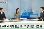 韓国人「アメリカが現代自動車潰し！」日本は米下院ロビーに天文学的な資金を注ぎ回避！　韓国の反応