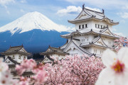 海外「日本で差別から解放された」 在日外国人たちが語る日本に住んでいて良かった事