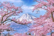 韓国人「韓国人が『日本』と言えば連想する物がマジでヤバ過ぎた‥」韓国人が真っ先に思い浮かぶ物がコチラ‥　韓国の反応
