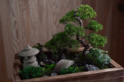 日本人が制作した和風箱庭の映像が凄すぎると海外感動、泳ぐミニ鯉まで再現
