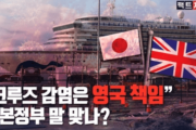 【韓国の反応】クルーズ船「イギリスの責任」という日本政府の言葉は正しいのか！？ファクトチェック