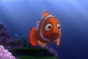 金魚を抱いて一緒に寝てしまった4歳児、絶望を知る(´；ω；｀)