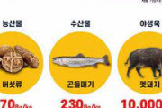 【韓国の反応】アメリカの福島農作物輸入規制撤廃で韓国に圧をかけ始めた日本、韓国「お前らは食べて復興応援するんだろ？」