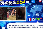 海外「最前列だけは絶対に座りたくない」 大相撲を生観戦した外国人YouTuberの動画の迫力に驚く声が殺到