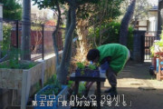 韓国人「“悠々自適な日本人フリーターの日常” に賛否両論の声がな鳴りやまない！！」