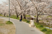 外国人「この日本の女性が浮遊してるようにしか見えない(笑)」
