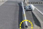【韓国の反応】使用可能年限50年の日本の信号機、23年で倒れた…原因は「犬のおしっこ」。韓国の反応「ペット犬に犬税新設を考える時が来た。犬猫におむつをしなければならない。」