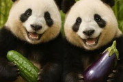 中国人「日本では何でキュウリとナスをこう呼ぶの？」　中国人「日本の伝統だね」「ちょっとスピードアップ」