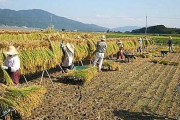 韓国人「最近、日本では食料自給率を上げようとしていますね」→「農業なんて止めてアメリカ産を買えば良いのに」　韓国の反応