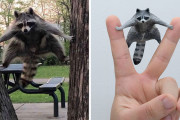 外国人「また日本のアーティストが動物の面白画像を立体化させている！」