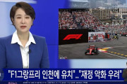 韓国人「韓国がF1グランプリを仁川に招致へ‥財政悪化の懸念」　韓国の反応
