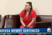 11歳少年との子供を生んだベビーシッター女、20年の実刑判決が下る