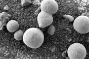 【衝撃】ついに火星で生命体発見か！ 土壌からもりもり成長する”キノコ”が見つかる！