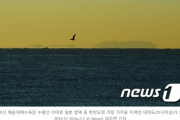 【韓国の反応】"韓国人は出てください" ... 日本 名所の和多都美神社(対馬) "出入り制限" 議論【わだつみ神社・韓国人立ち入り禁止】