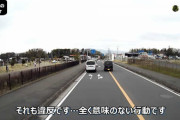 あるある動画 これが日常の出来事です