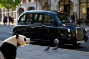 中国人「日本のタクシー運転手にむちゃくちゃ驚かされた」　中国人「日本のタクシー凄い」「日本では全て車の責任」