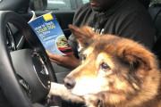 外国人「見てるだけで笑顔になれるユーモアな犬を集めてみた！」